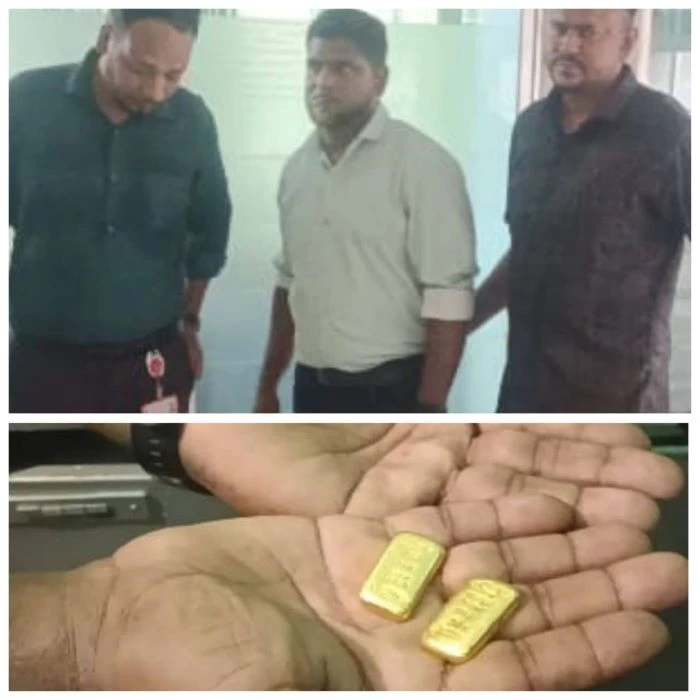 ভারতে পাচারের সময় বেনাপোল কাস্টমসে দুই স্বর্ণবারসহ পাসপোর্টধারী আটক